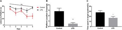 The Immune System Drives Synapse Loss During Lipopolysaccharide-Induced Learning and Memory Impairment in Mice